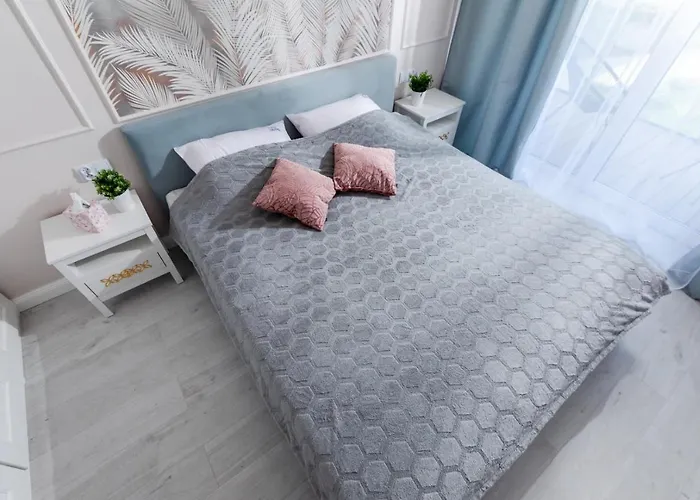 Liliowy By Major Domus Club